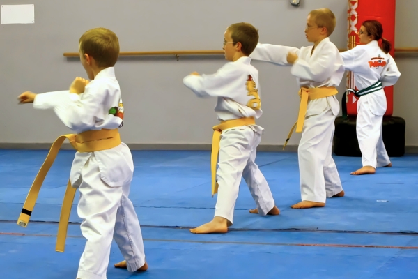kids taekwondo classes at asheville academy of taekwondo, martial arts asheville instruction